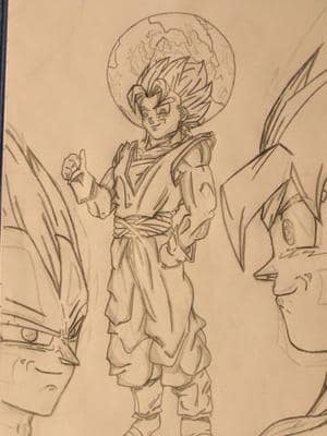 Vegetto and the World