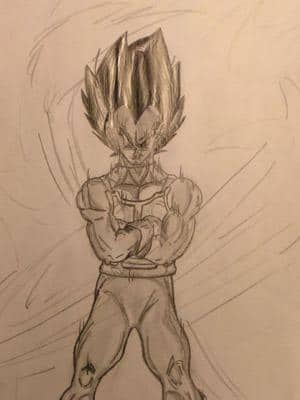 Vegeta mal wieder :)