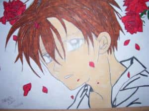 Sweet Boy (neue Colo)