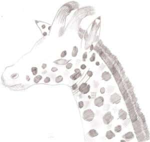 Meine süßer Giraffe