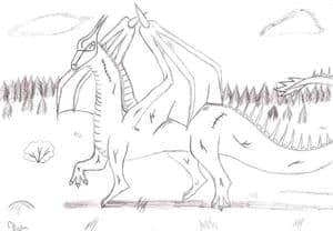Drache XD