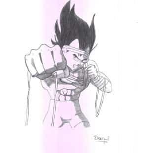 Vegeta`s Training