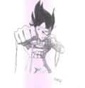 Vegeta`s Training