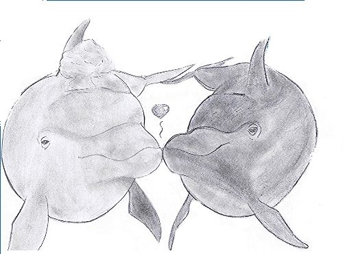 dolphin in love^^