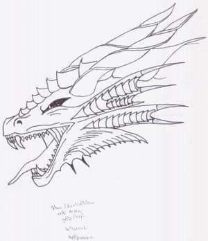 Drachenkopf_Outlines