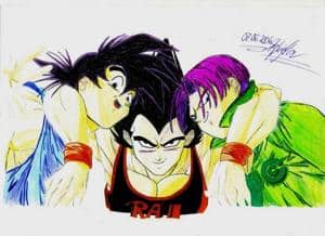 Die drei wohl beliebtesten Saiyajins