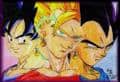 Vegetto ^^