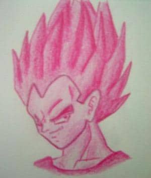 Vegeta lila