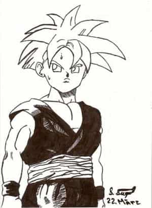 Gohan; erste Zeichnung mit Tusche
