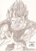 GOku\'s Kame-hame ha ^^