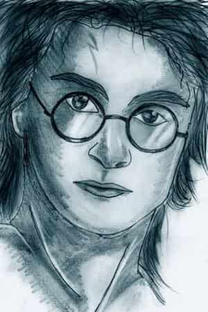 Harry Potter (in etwa^^)