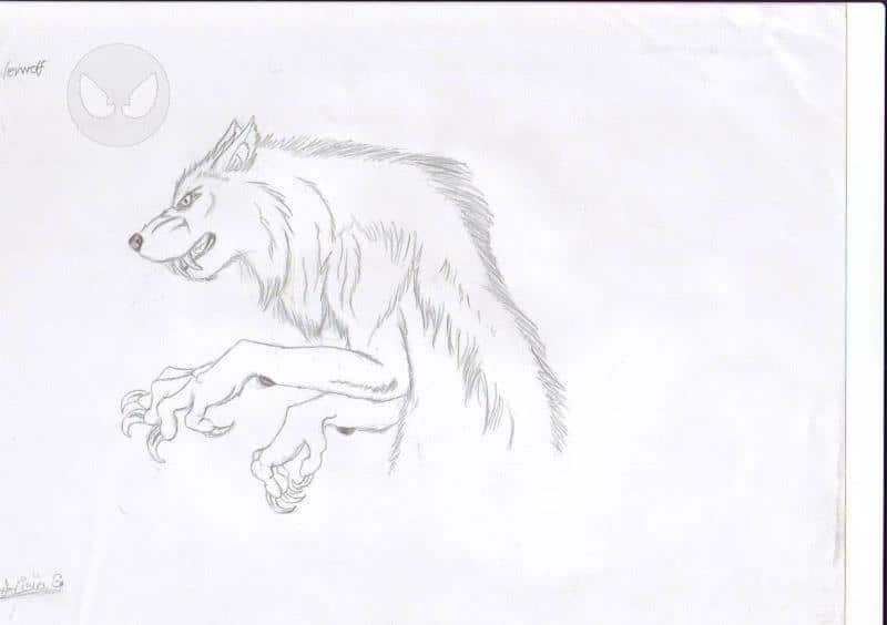 Werwolf Skizzöö XD
