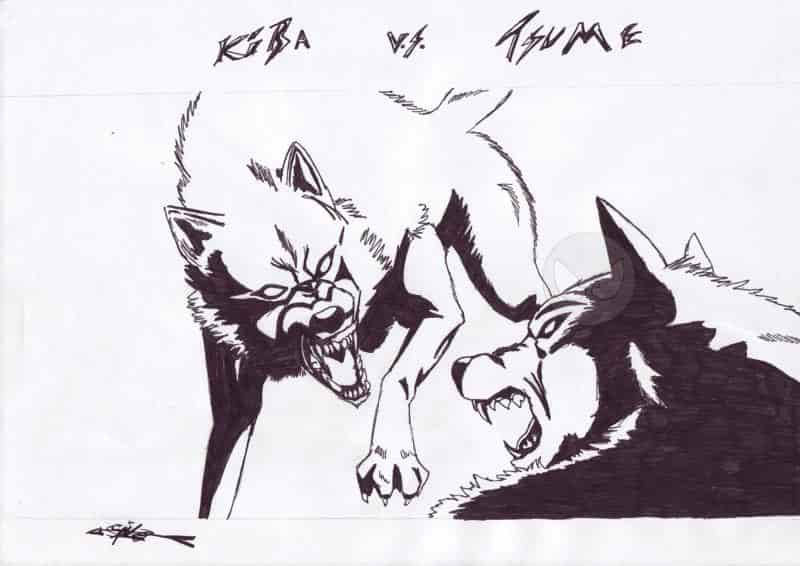 Kiba vs. Tsume