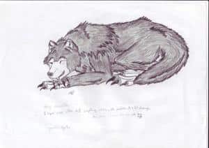 Sleeping Werwolf