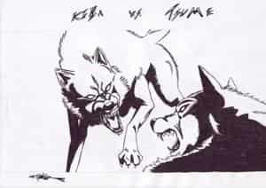 Kiba vs. Tsume