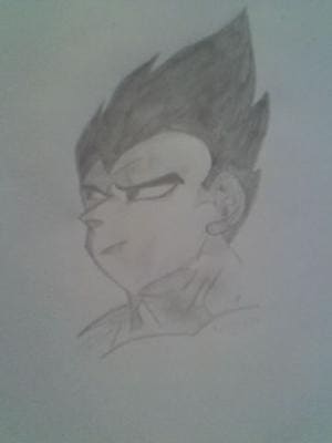 Vegeta Draw by KatiPirru