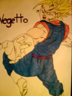 Vegetto