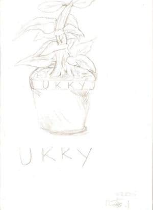 Ukky