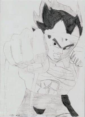Vegeta im Training