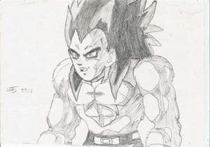 Vegeta 4 fach