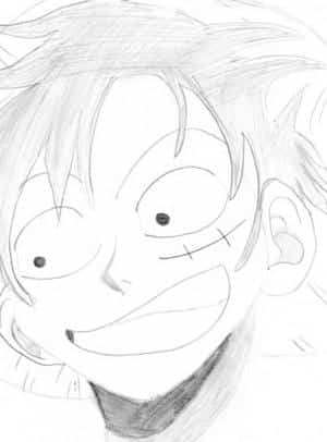 Luffy