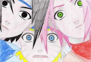 Team 7
