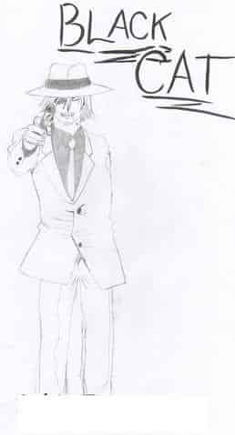 black cat