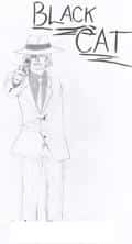 black cat