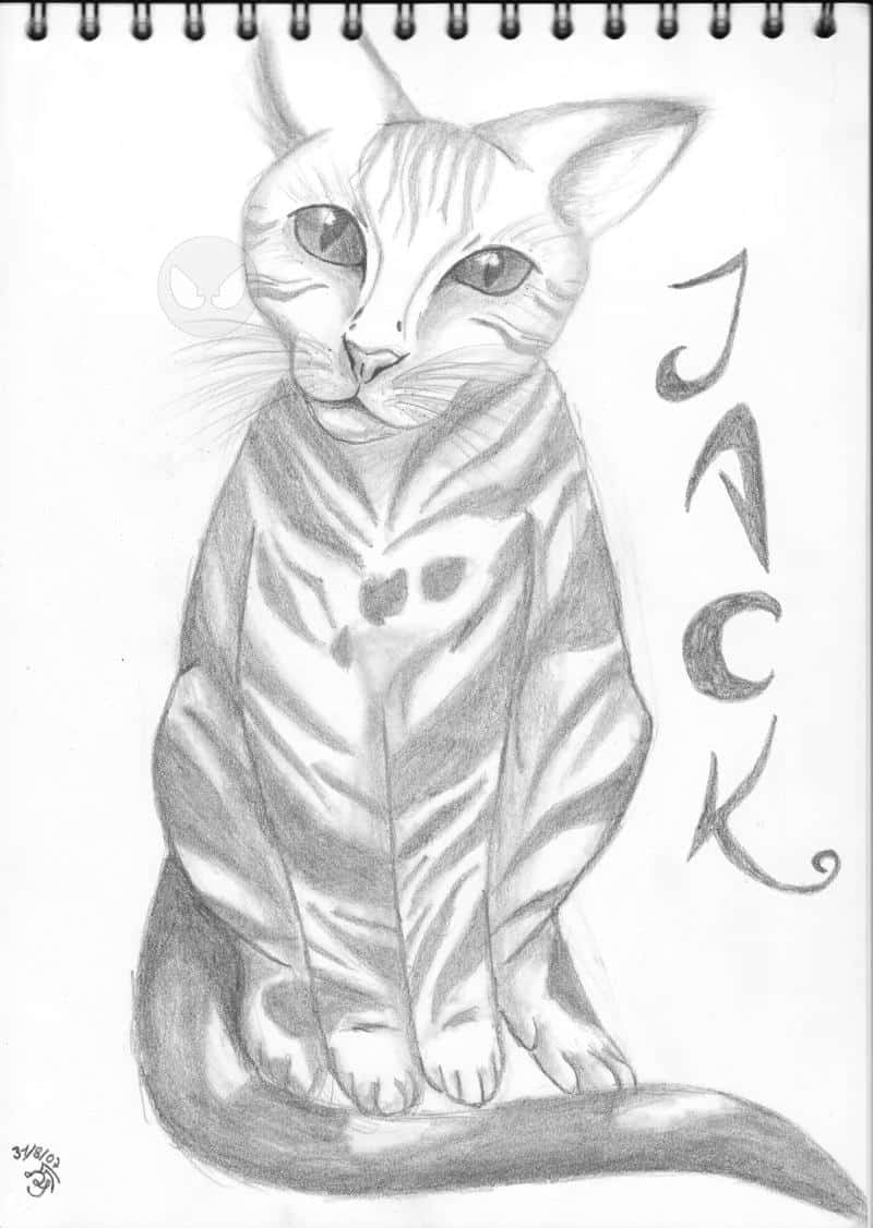 Jack ^-^
