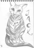 Jack ^-^