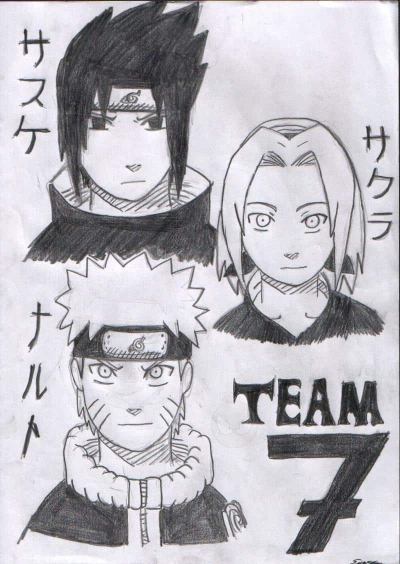 !!Team 7!!