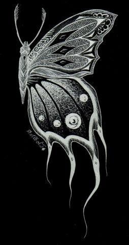 Der Schmetterling in schwarz....