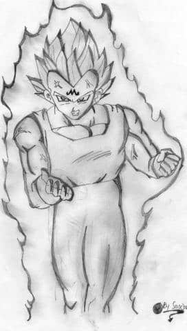 ssj 2 vegeta