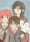 Harry, Ron, Hedwig and Co.