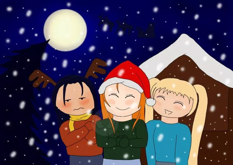 Frohe Weihnachten 2010