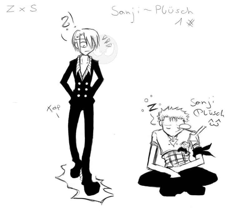Zorro...und...Sanji Plüsch? :3