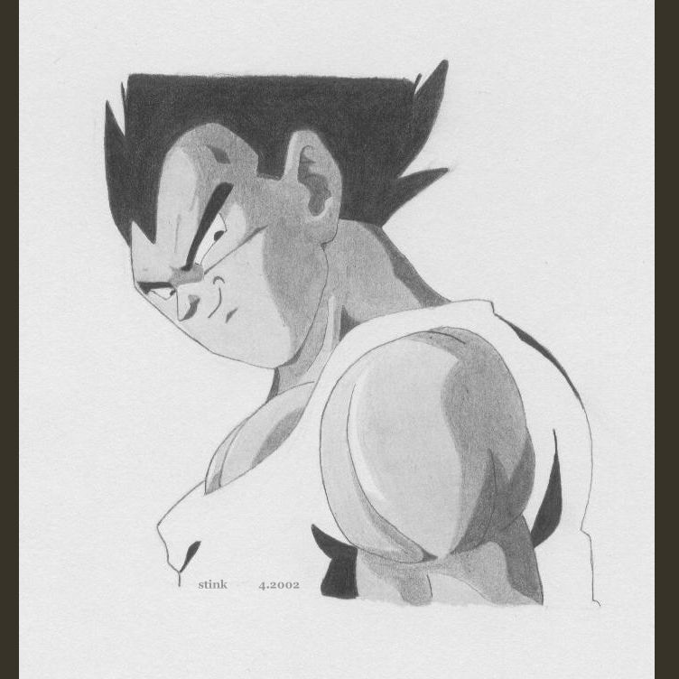 vegeta2