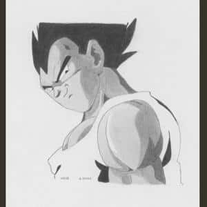 vegeta2