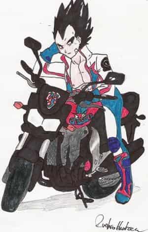 Veget auf nem Motorrad