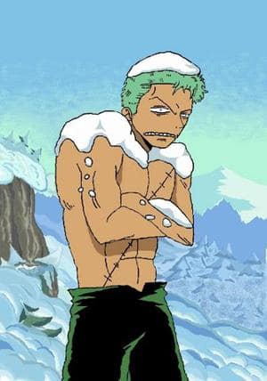 eingeschneiter zorro