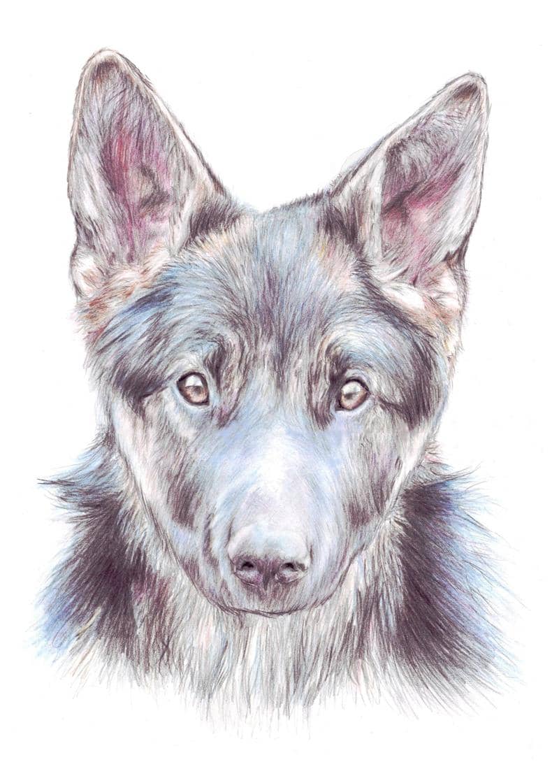 Lucy ~Auftragsarbeit