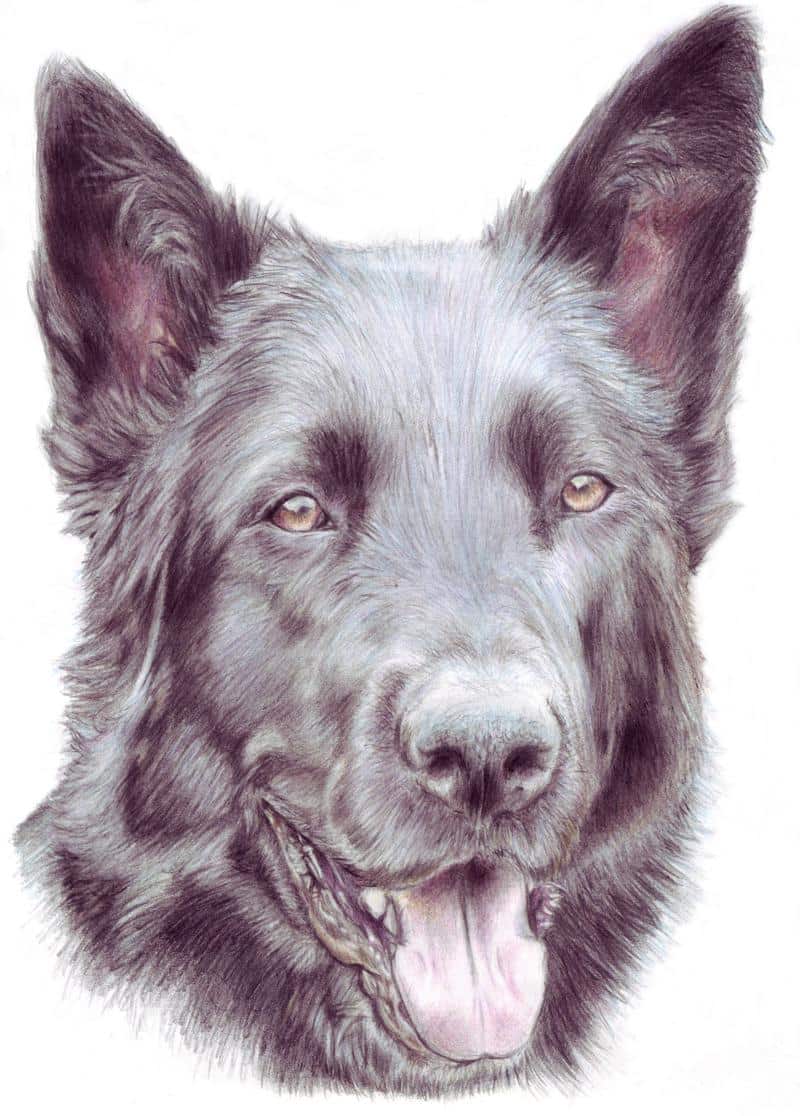 Aida ~ Auftragsarbeit