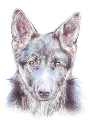 Lucy ~Auftragsarbeit