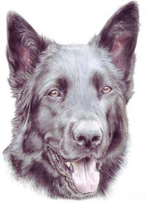 Aida ~ Auftragsarbeit