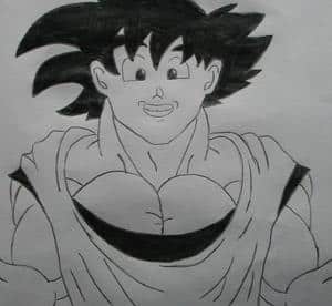 schwarz weiß goku