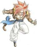 Vierfacher Super Gogeta